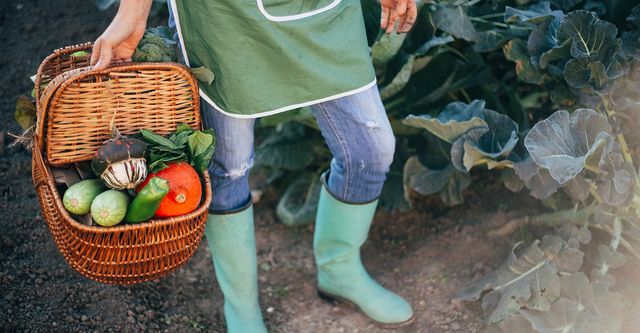 Becoming a Successful Gardener in Houston