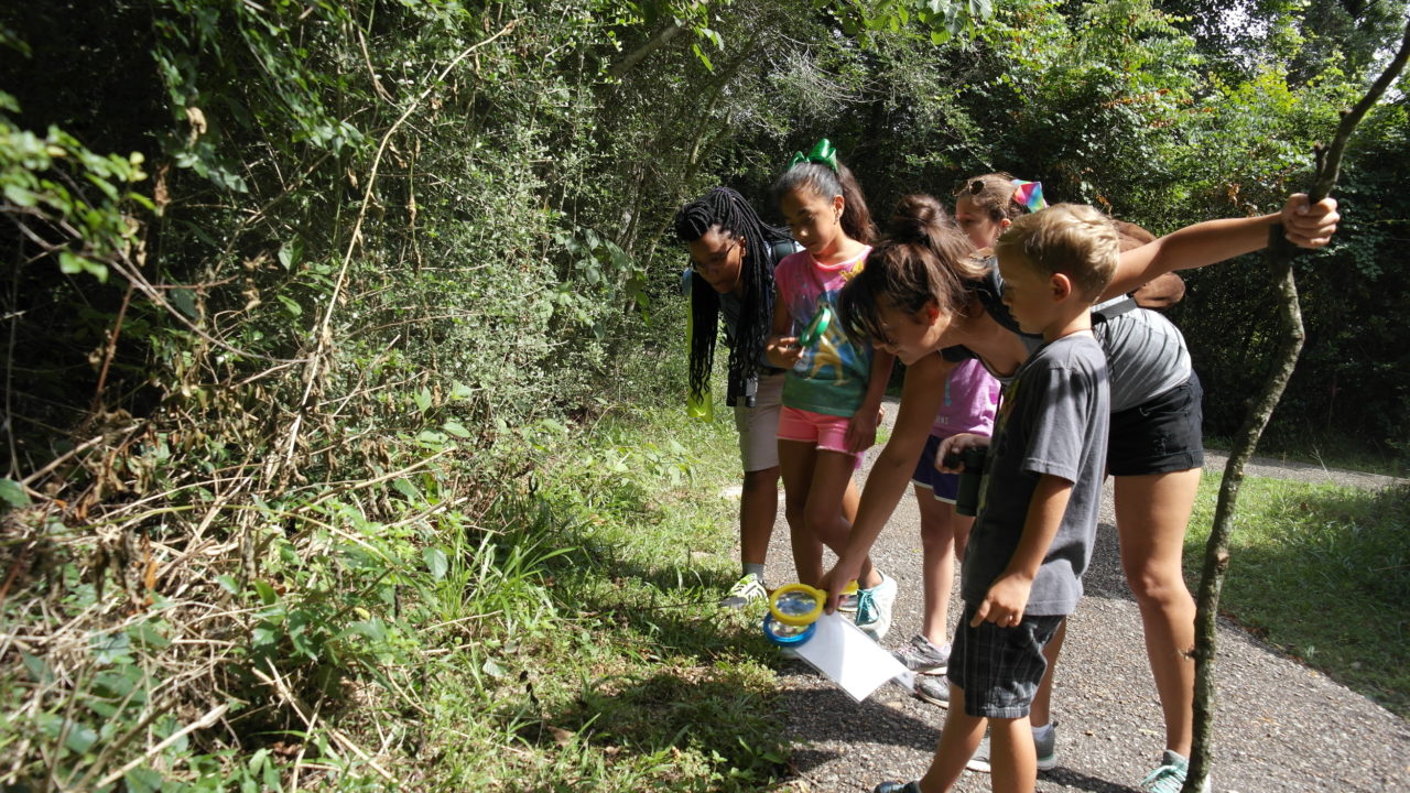Kid-Friendly Nature Trails and Wildlife Encounters in Houston