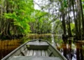 Caddo Lake State Park: Where Texas Slows Down and History Breathes Through the Cypress