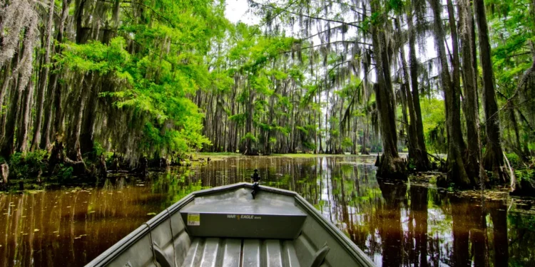Caddo Lake State Park: Where Texas Slows Down and History Breathes Through the Cypress