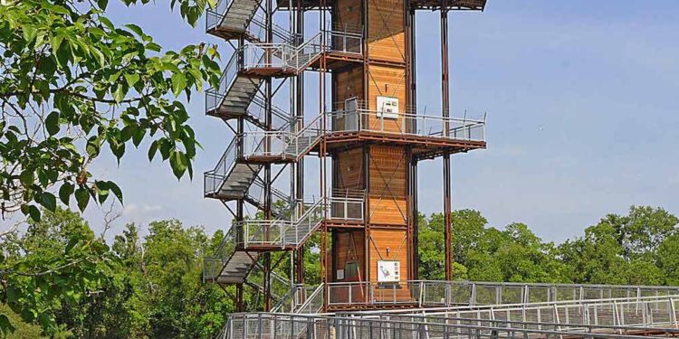 Sheldon Lake State Park: Houston’s Hidden Ecological Treasure