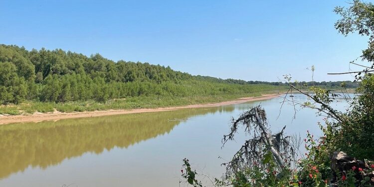Stephen F. Austin State Park: The Hidden Gem of East Texas