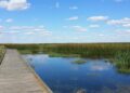 Anahuac National Wildlife Refuge: Where the Texas Coast Breathes Wild
