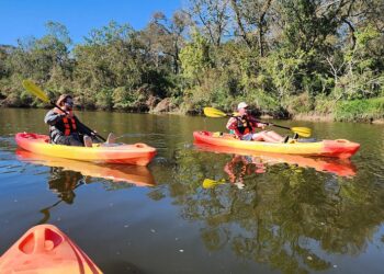 Armand Bayou Nature Center: The Wild Heart of Houston That Most People Drive Right Past